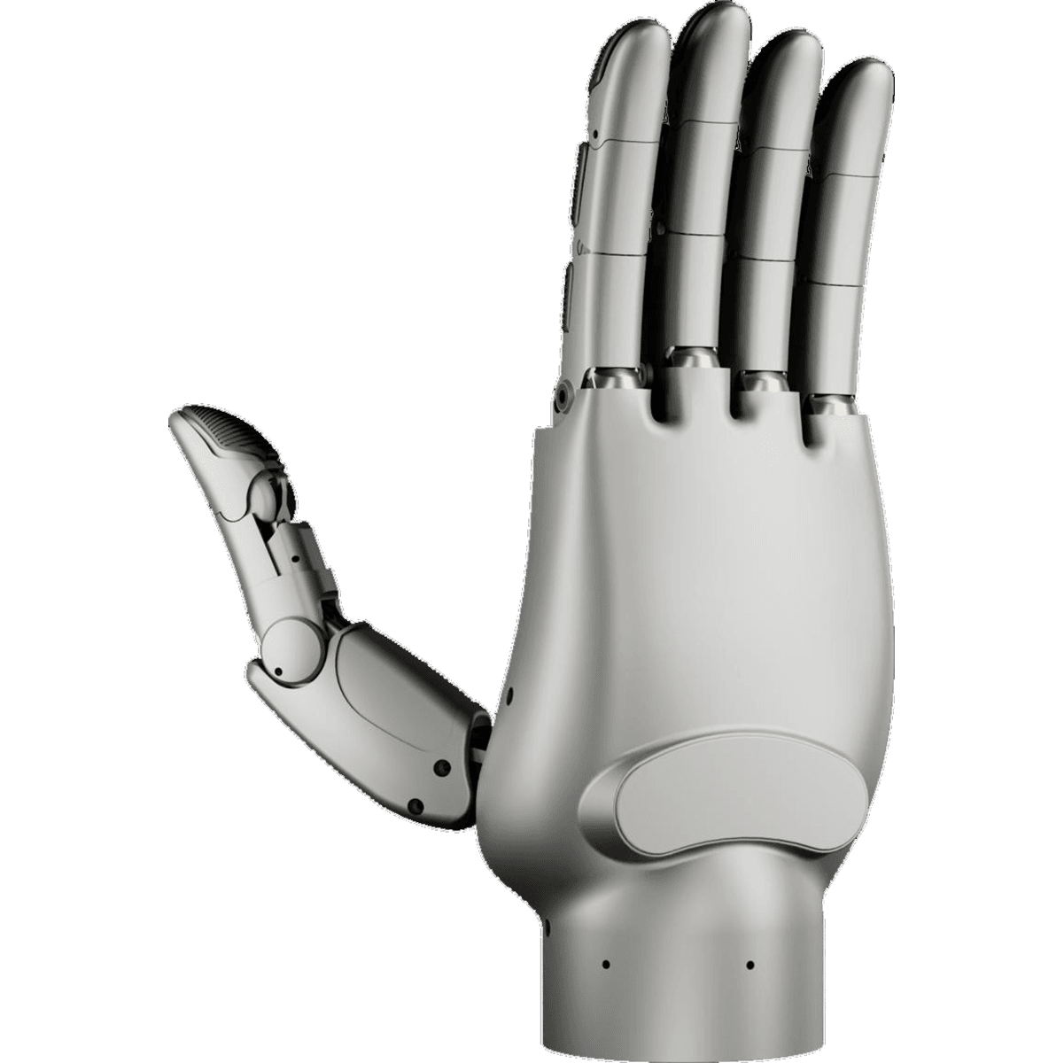 The World's Highest Degree Of Freedom